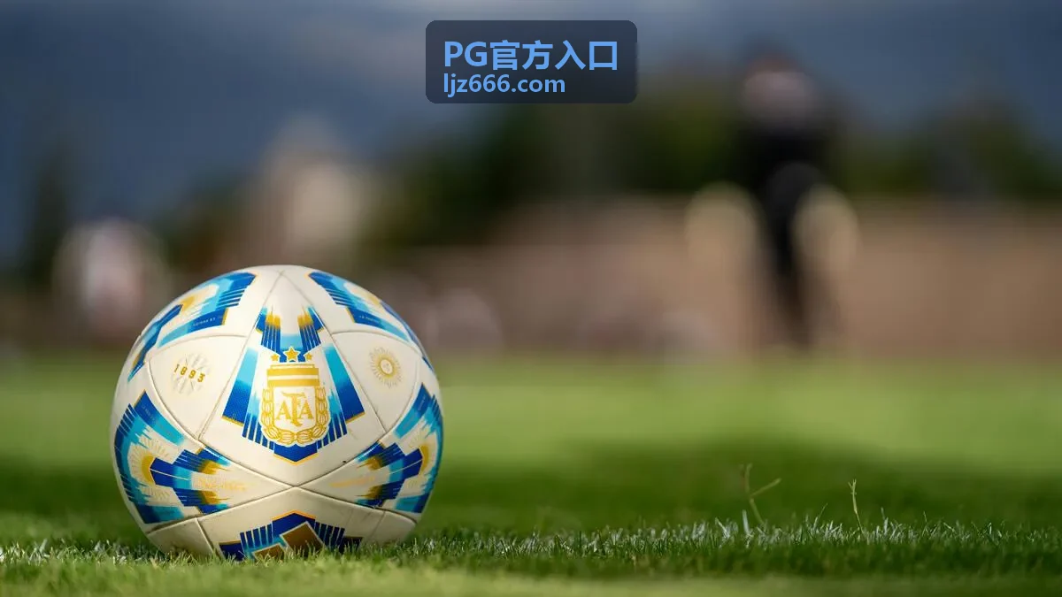 PG官方入口 常见问题解答 使用说明示意图