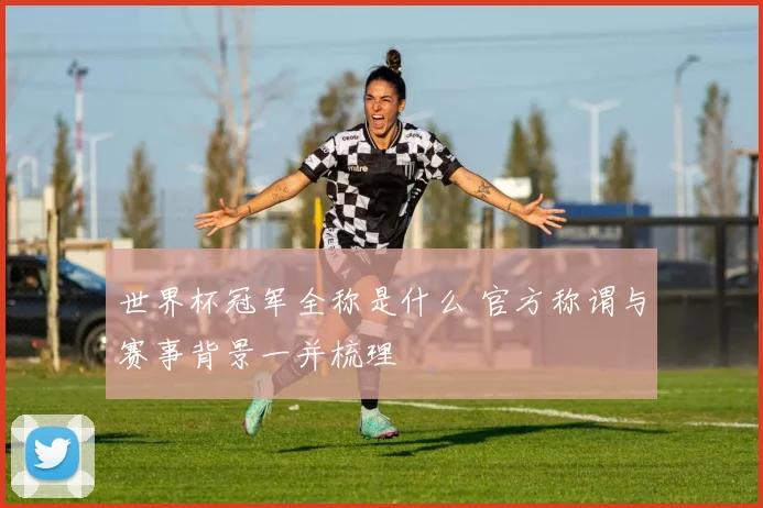 世界杯冠军全称是什么 官方称谓与赛事背景一并梳理