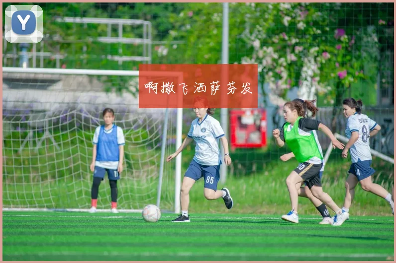 2023世界杯女篮比赛赛程公布 各队备战关键阶段临近